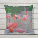 Search for tropical birds cushions Coastal