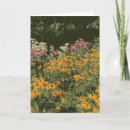 Search for cone flowers cards Pink