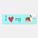 Search for sheltie bumper stickers Miniature collie