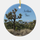 Search for joshua christmas tree decorations Desert