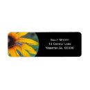 Search for spider return address labels Creepy