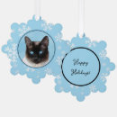 Search for siamese christmas tree decorations Kitten
