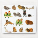 Search for pet bird electronics Animals
