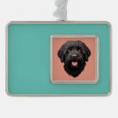 Search for black labradoodle christmas tree decorations Dog