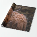 Search for landscape wrapping paper Colours