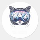 Search for ski goggles stickers Skis