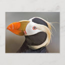 Search for tuft postcards Nature