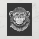 Search for cute monkey postcards Wild animal