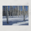 Search for aspen postcards Winter