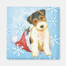 Search for wire magnets Wire fox terrier