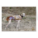 Search for lurcher postcards Sighthound
