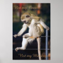 Search for not my circus posters Monkey