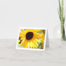 Search for sunflower thank you cards Gold