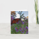 Search for cornflower cards Pretty
