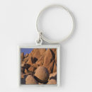 Search for joshua key rings Mojave desert