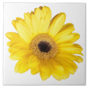 Search for yellow daisy tiles Modern