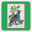 Search for quails stickers Nature