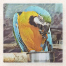 Search for macaws coasters Pet