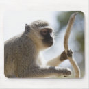 Search for environment mousepads Vertical