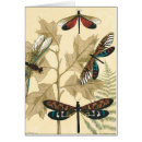 Search for dragonfly drawing postcards Animals