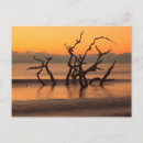 Search for jekyll postcards Ocean