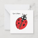 Search for ladybug note cards Insect