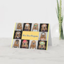 Search for plague cards Jewish