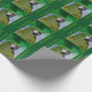 Search for words wrapping paper Birthday