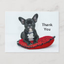 Search for pillow postcards Black