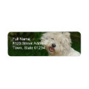 Search for bichon return address labels Bichon frise dog
