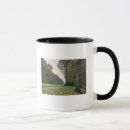 Search for foret Landscape