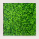 Search for st patricks day puzzles Irish