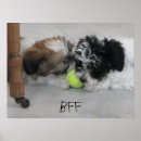 Search for bff posters Cute