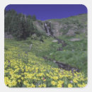 Search for alpine meadow stickers Scenic