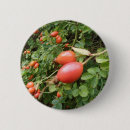 Search for edibility badges Nature