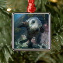 Search for scuba diver christmas tree decorations Beach