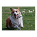 Search for corgis photography Pembroke welsh corgi