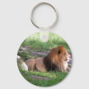 Search for safari jungle animal key rings Lion