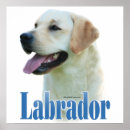 Search for labrador retriever art Yellow