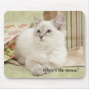 Search for ragdoll electronics Fluffy
