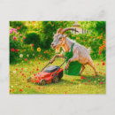 Search for destroyed postcards Humour