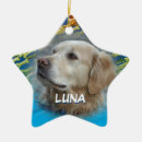Search for dog heaven christmas tree decorations Dogs