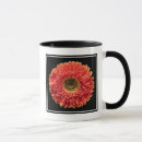 Search for orange gerbera daisy mugs Nature
