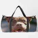 Search for bulls bags For pets