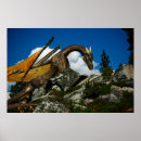 Search for dragon lore Legend