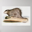Search for prickly posters Vintage