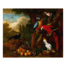 Search for macaws art Fruit