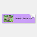 Search for hedgehogs bumper stickers Animals