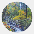 Search for hood river stickers Forest