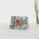 Search for side view cards Photography